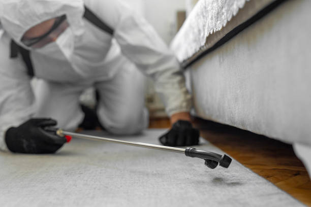 Professional Bed Bug Control technician working in Marietta, GA