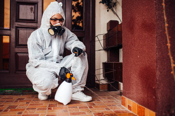 Reliable Bed Bug Control contractor in Marietta, GA by Nex Pest Control